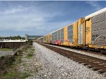 TTGX 823827